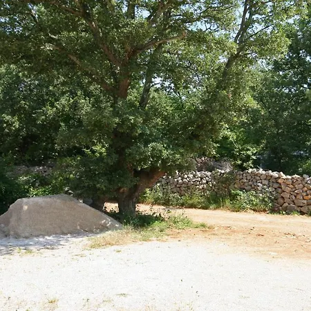 5464c